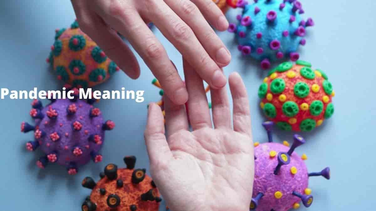 Pandemic Meaning In Tamil with Example • (Tamil & English)