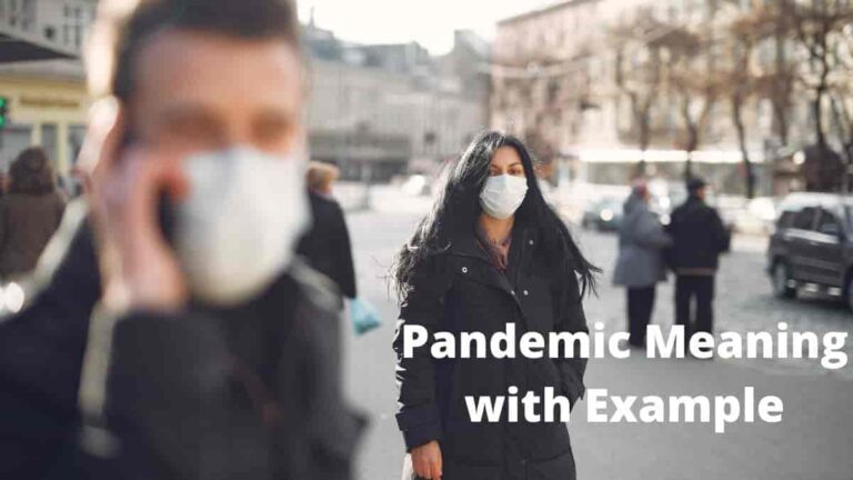 pandemic-meaning-in-tamil-with-example-tamil-english