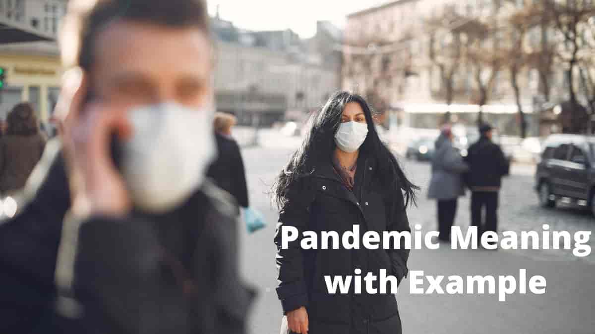 Pandemic Meaning In Tamil with Example