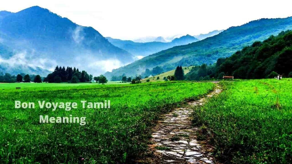 What Is Route Meaning In Tamil