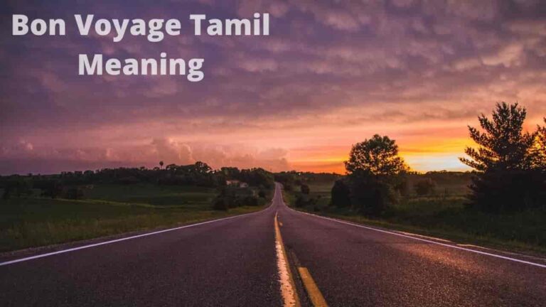bon voyage what meaning in tamil