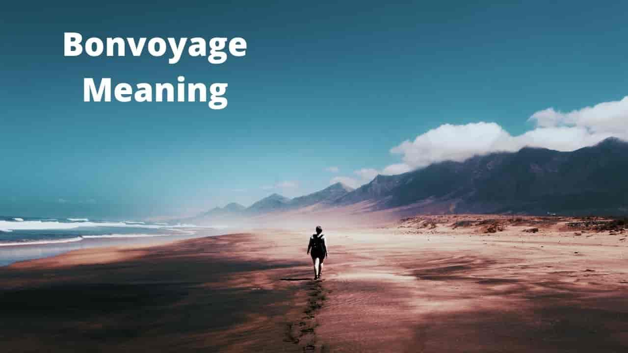 Bon Voyage 