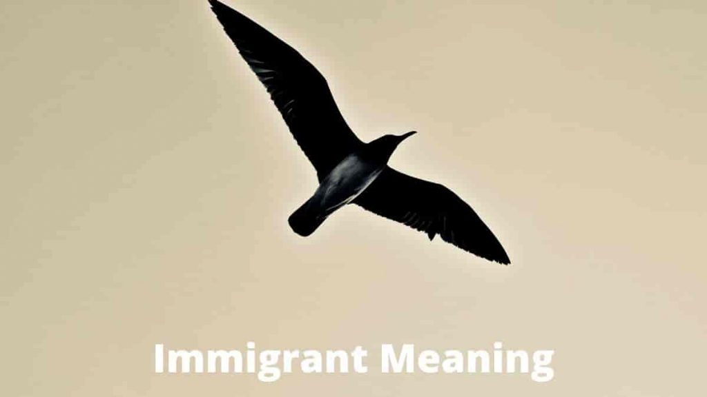 Immigrant Meaning in Hindi