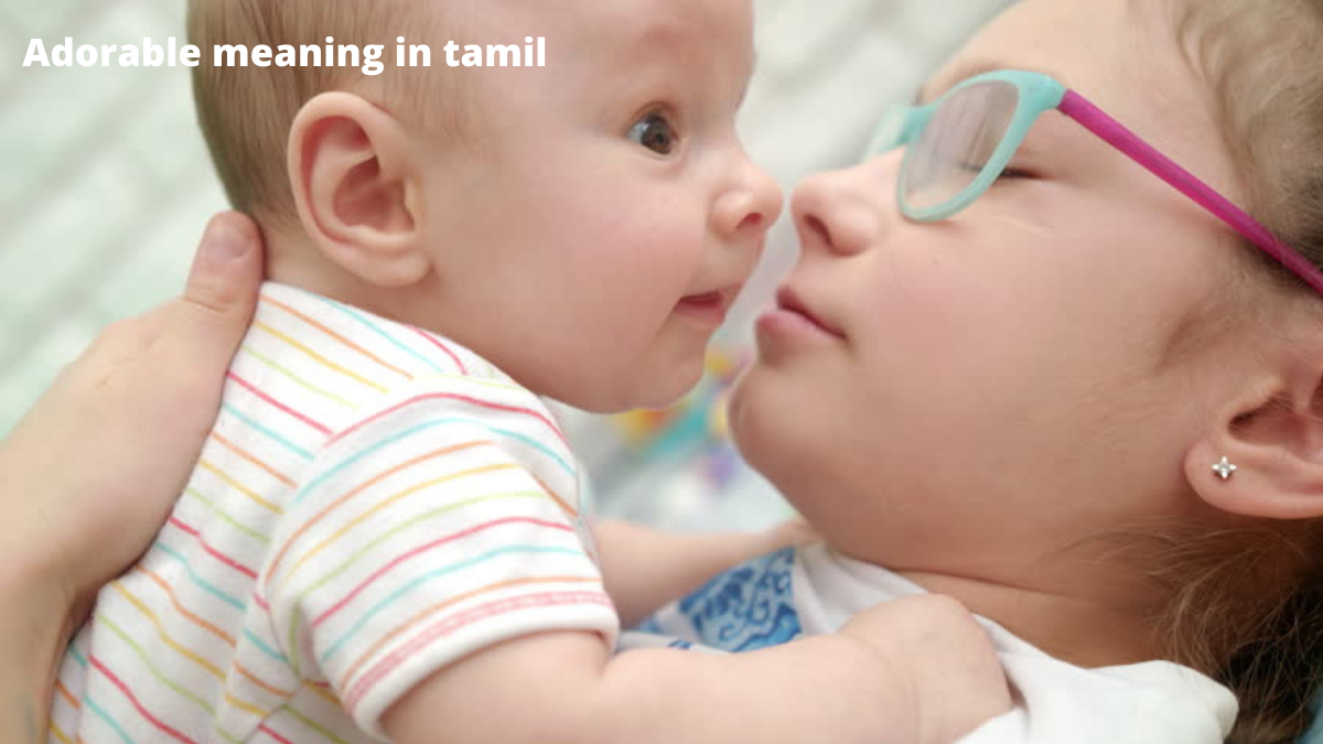 simple-spoken-words-with-tamil-meaning-part-15-youtube