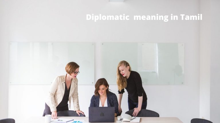 Diplomatic Dictionary Meaning In Tamil