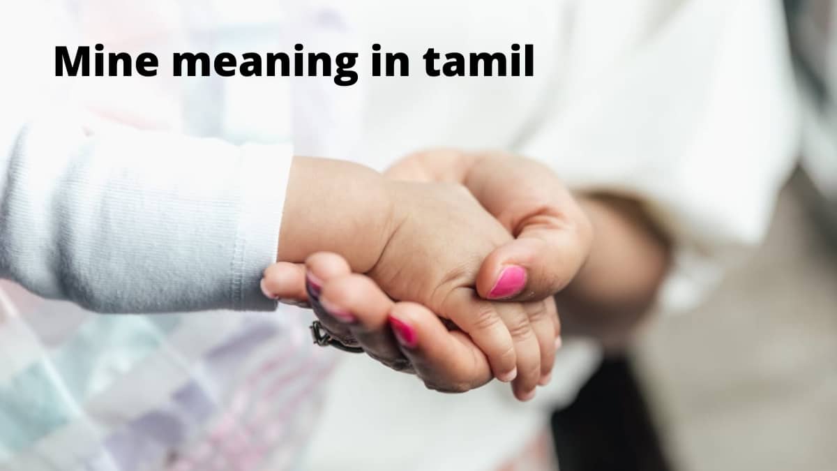 mine-meaning