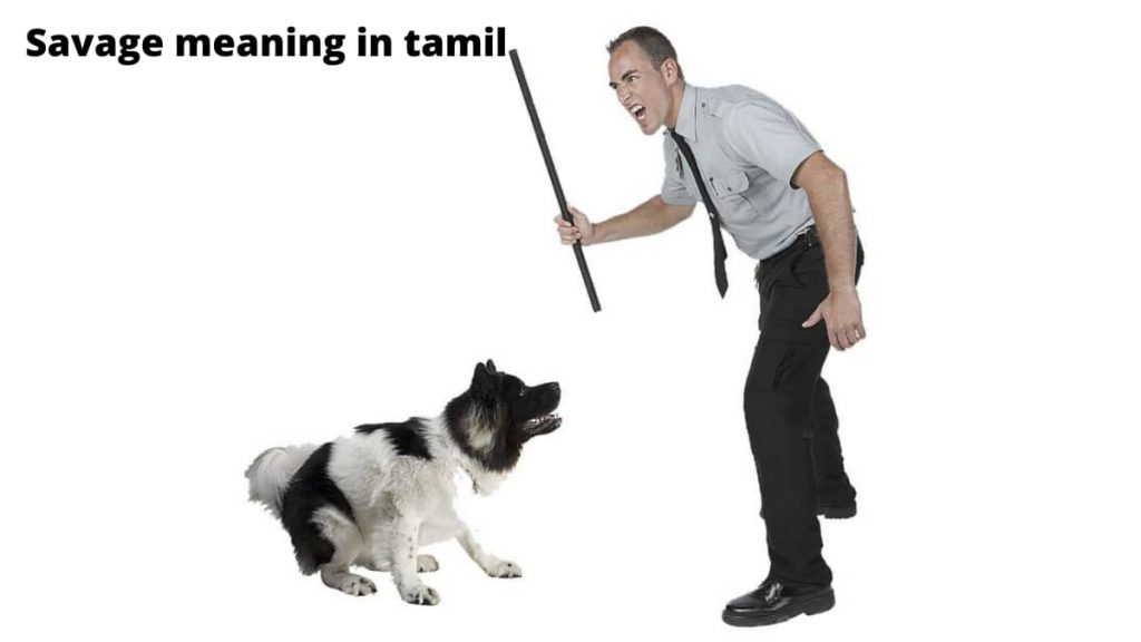 Savage meaning in tamil