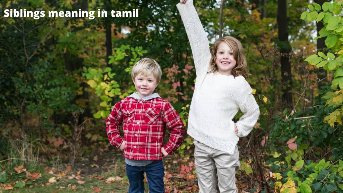 Siblings Meaning In Tamil With Example