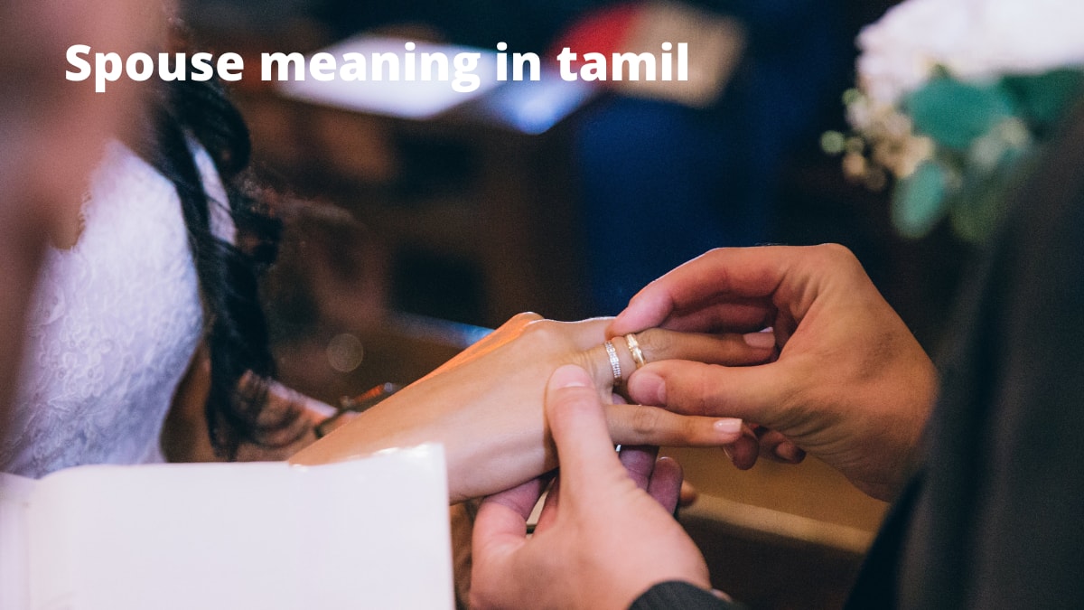 spouse-meaning