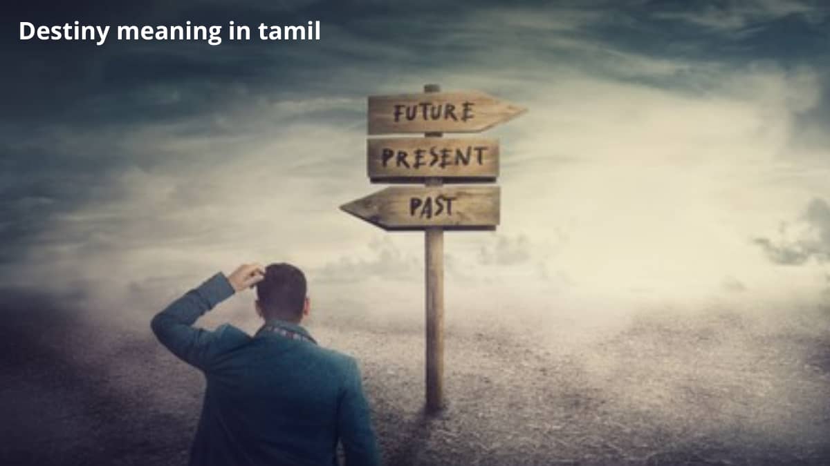 Sword Of Destiny Meaning In Tamil