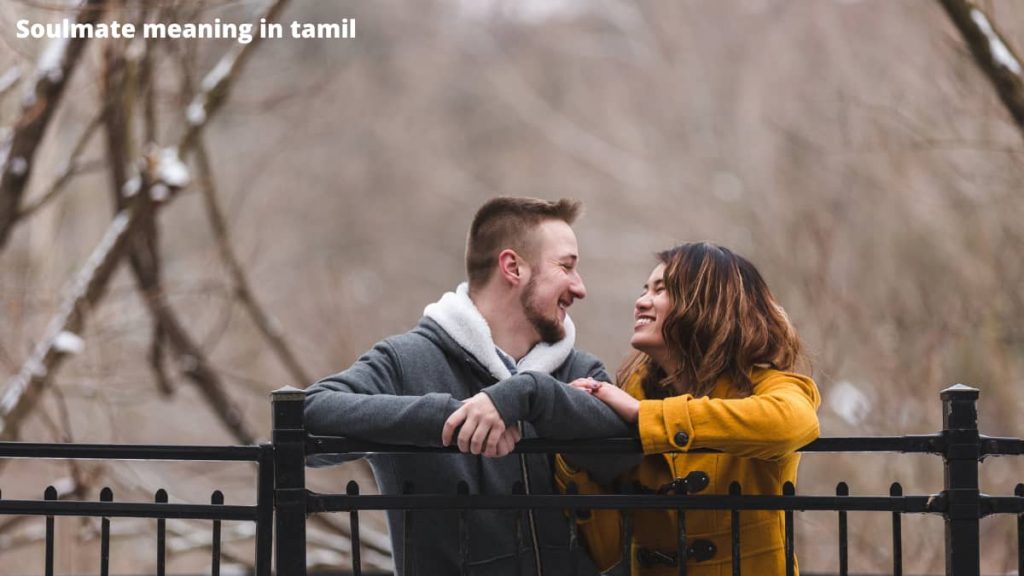 Soulmate meaning in tamil