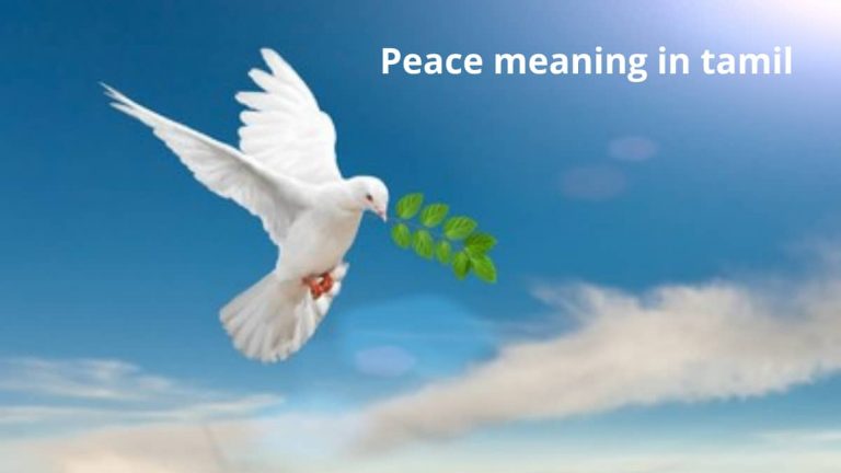 Peace Meaning In Tamil 768x432 