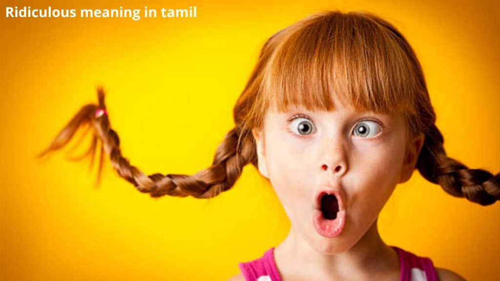 Ridiculous meaning in tamil