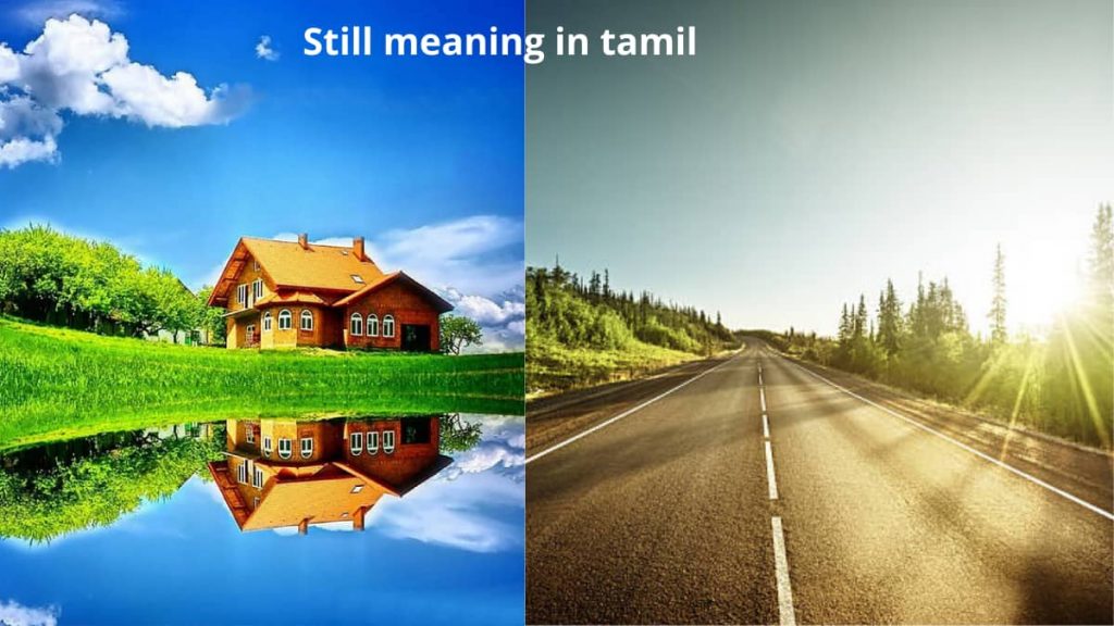 Still meaning in tamil