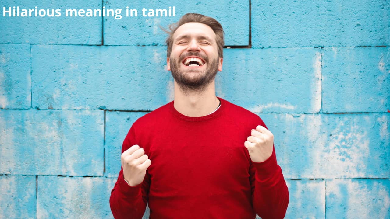 Print Tamil Meaning Dictionary