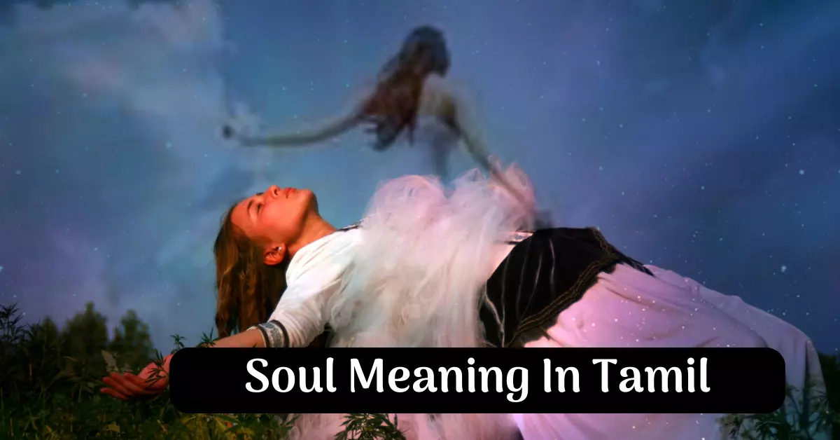 Soul meaning in tamil