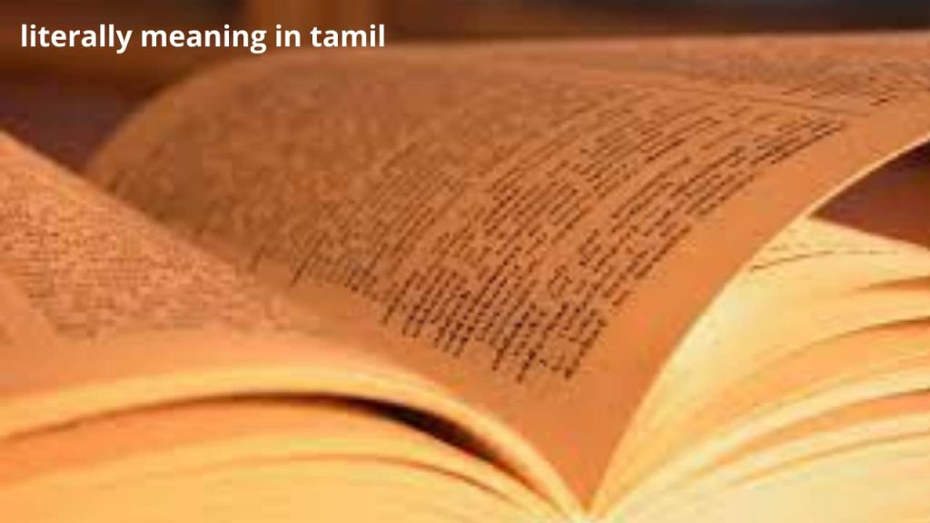 literally meaning in tamil