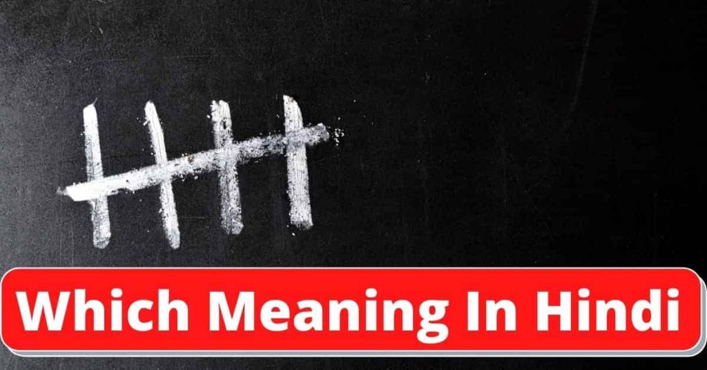 which meaning in hindi