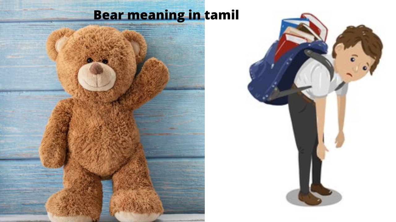 Bear meaning • இரு அர்த்தங்கள்..!