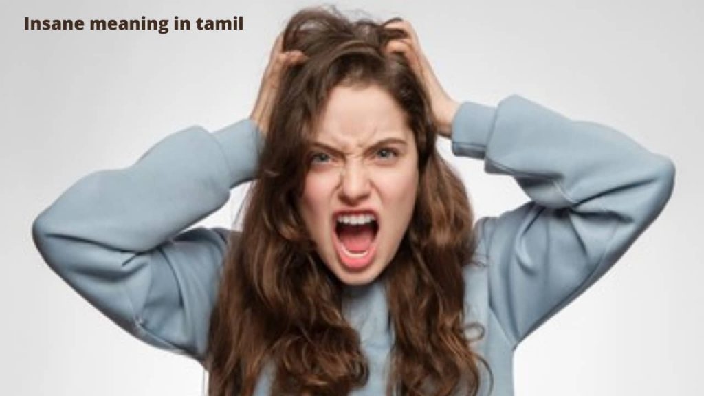 Insane meaning in tamil