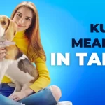 kutta meaning in tamil