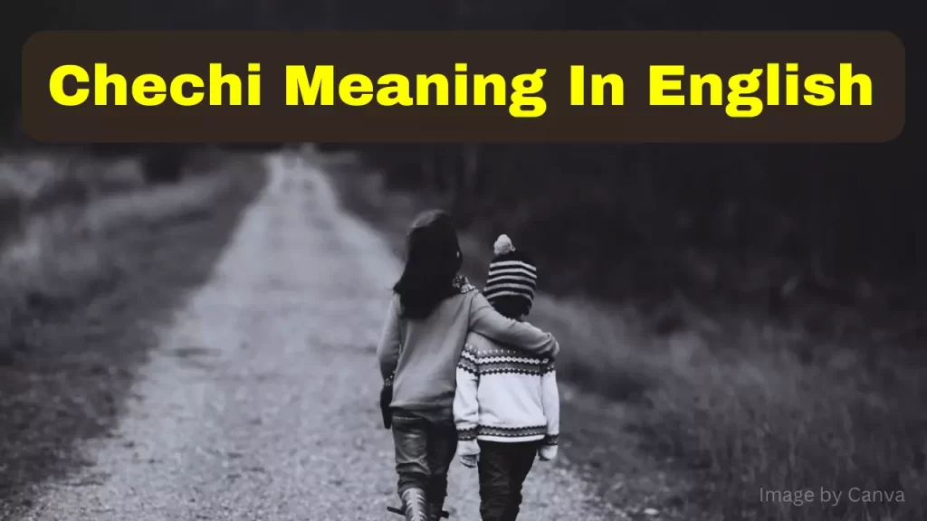 chechi meaning in english meaning in tamil