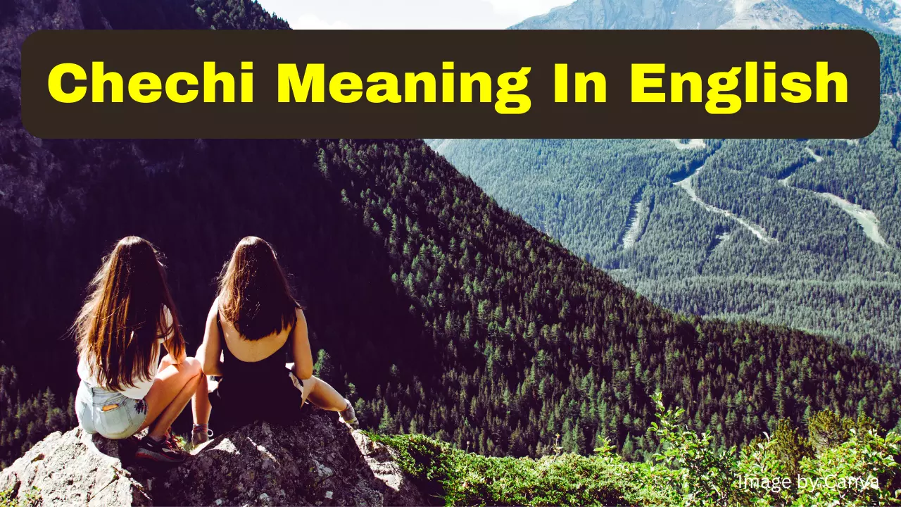 chechi meaning in english