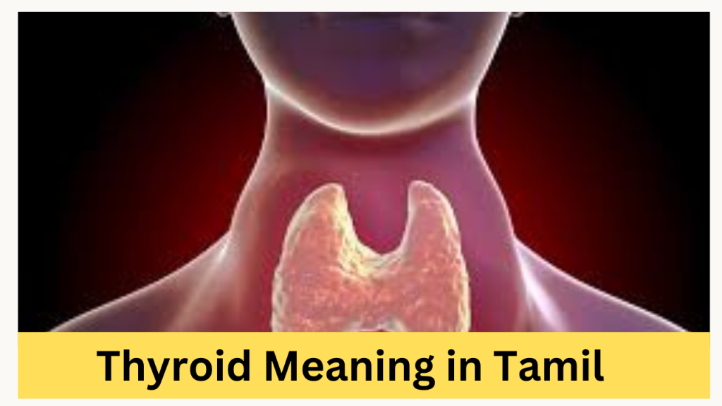 thyroid-in-tamil-tamil-meaning-dictionary