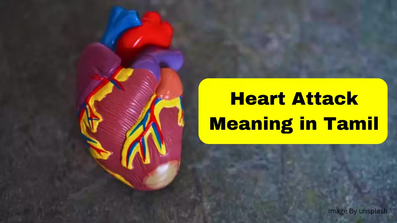 Heart Attack Meaning in Tamil