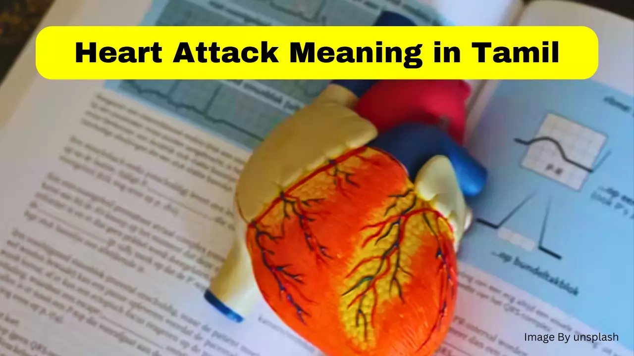 Heart Attack Meaning in Tamil