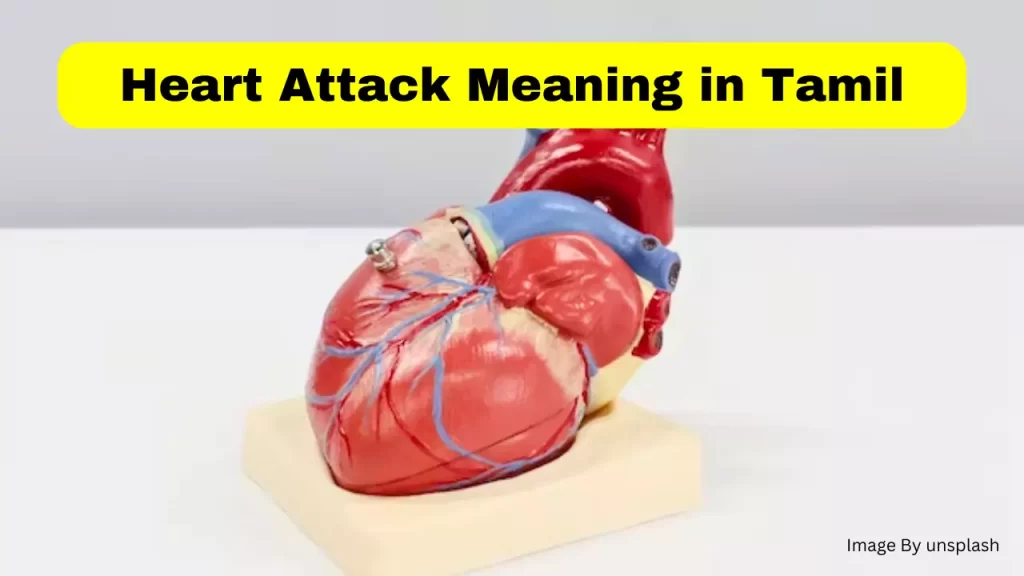 Heart Attack in Tamil