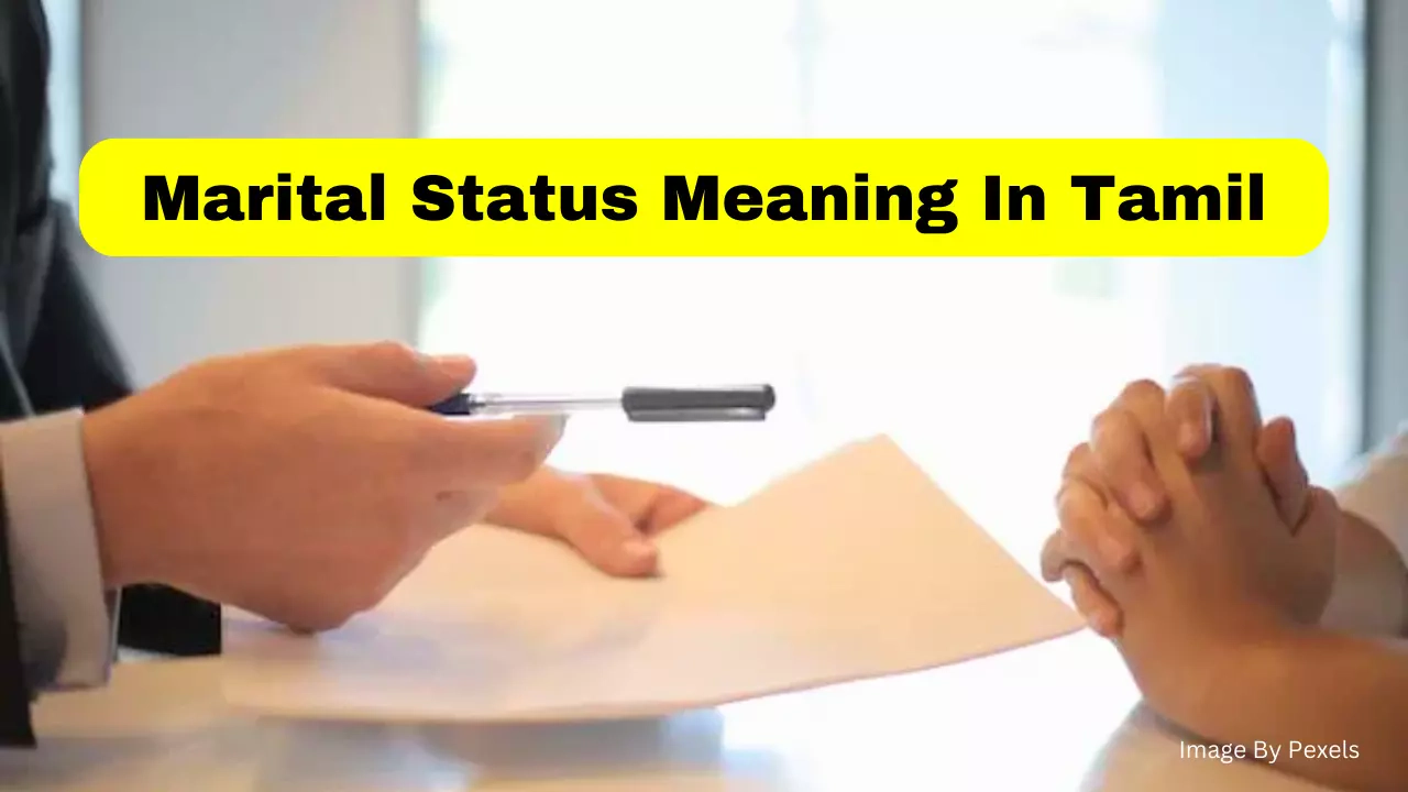 marital status meaning in application tamil