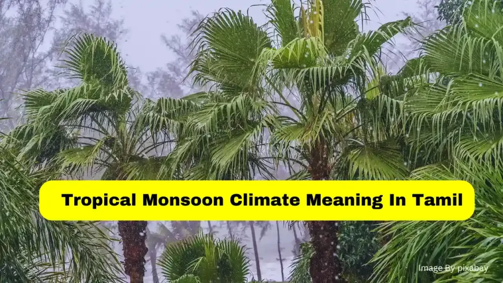 tropical monsoon climate meaning in tamil
