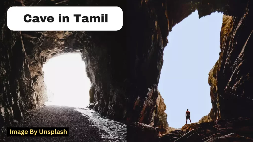 Cave Meaning In Tamil
